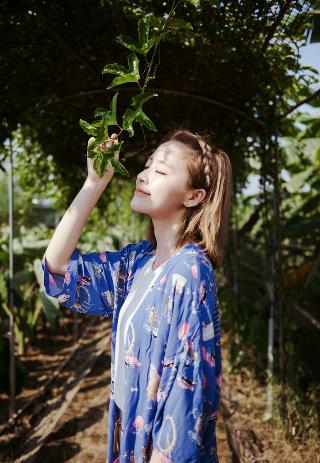 芳草地电影免费观看,青青河边草高清免费版新闻